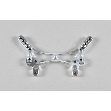 FG Alu-Dämpferplatte hinten EVO