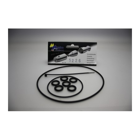 Mielke Dichtringe für 5201