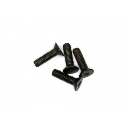 Mecatech Schrauben für hintere Achsschenkel
