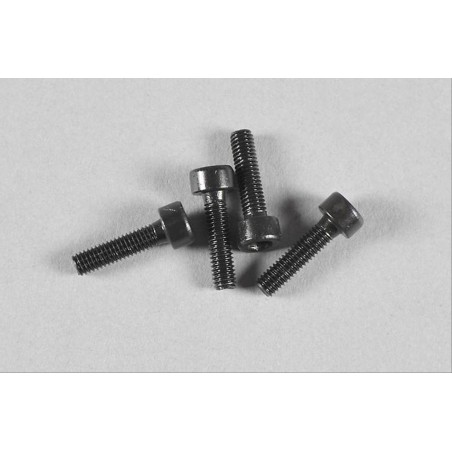 Mecatech Schrauben für Halteplatte