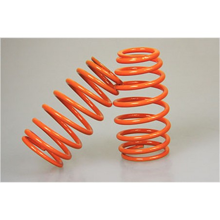 Mecatech Federn 2.5 orange