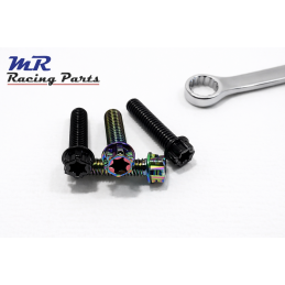 Titanschraube M6x25 (2012-25)